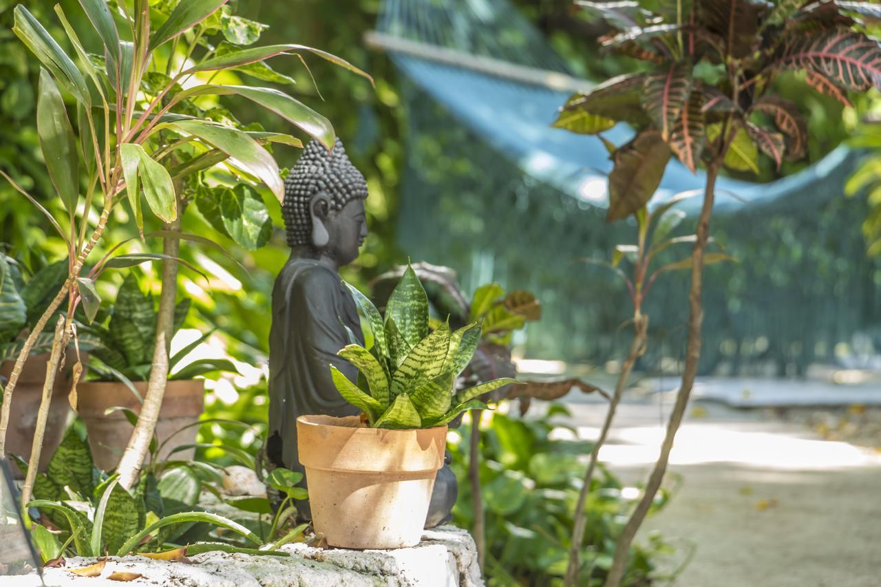 Secret Garden Tulum Hotel Exterior foto